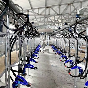 ����D���O�� �Ԅ�Ó����ɽ��D�̏d������䁮aƷ��Ԕԃ���Σ�