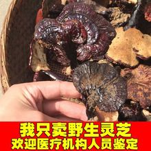 Ұ`֥125g`֥֦ԭʼɽԲҰa