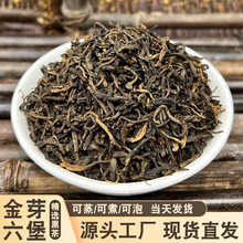 六堡茶 广西梧州特级黑茶 5年份干仓金芽 散装茶叶厂家批发