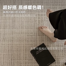 新西兰羊毛地毯客厅卧室大面积全铺中古轻奢高级耐脏卧室沙发地垫