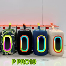 �羳�¿�P PRO19��������16W����TWS��Яʽ�����������ߵ�����