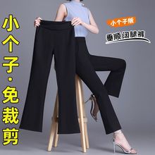 小个子秋冬季微喇裤女2025新款加绒九分高腰显瘦黑色西裤女松紧腰