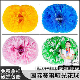 啦啦操花球啦啦队手花手摇花舞蹈演出手拿花拉拉队花球表演彩球