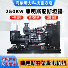 250kw���Ͱl늙C�M����˹��˹̹�����͙C�����ȫ�~ȫ�Ԅ��o����