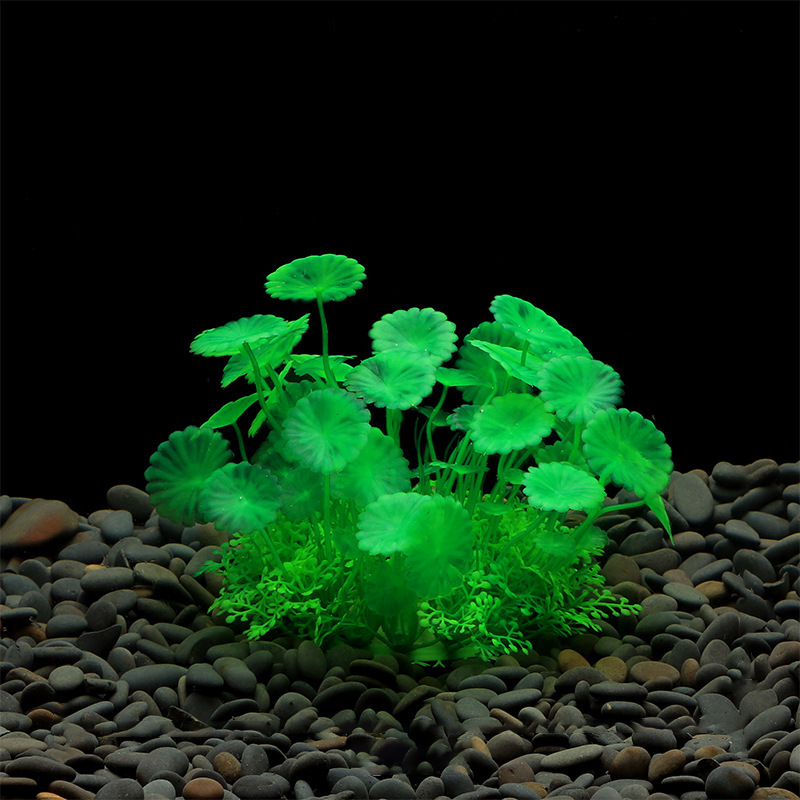 Hoja de loto verde