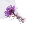 Light purple baby's breath/about 10g