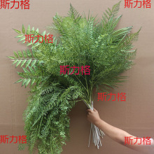 �Gɫϵ��c���滨�� ɭϵ��Y�õ�픱����� ·�����żٻ����ϻ�1