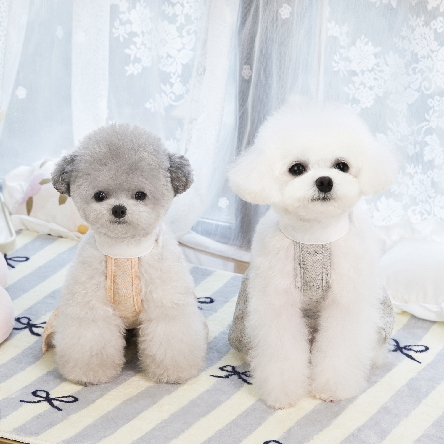 Primavera y verano perro princesa viento lindo pequeño vestido coreano falda de ángel gato ropa de perro mascota