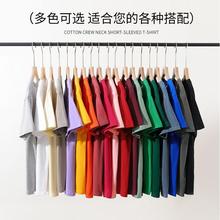 走量款彩色t恤短袖定智文化衫diy学生工作服聚会班服外贸单印LOGO