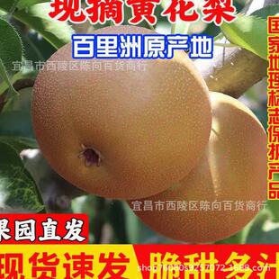 �������S���桿�����S�����Ӯ����������rˮ�������֭����