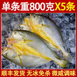 福建宁德黄鱼鲞特产醇香开背三去大黄鱼黄花鱼黄瓜鱼腌制非半干货