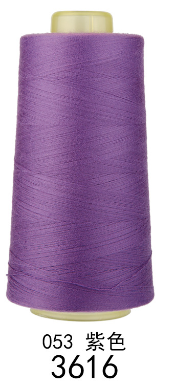3616 퍼플