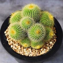 ������ֲ����^�������z���������҃��k�������Ի��ܷ�ݗ��