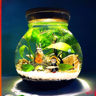 Ecological Bottle Micro-Landscape Aquarium Landscaping Betta Tank Office Desk Living Room Glass Fish Tank Ecological Ball Micro-Landscape