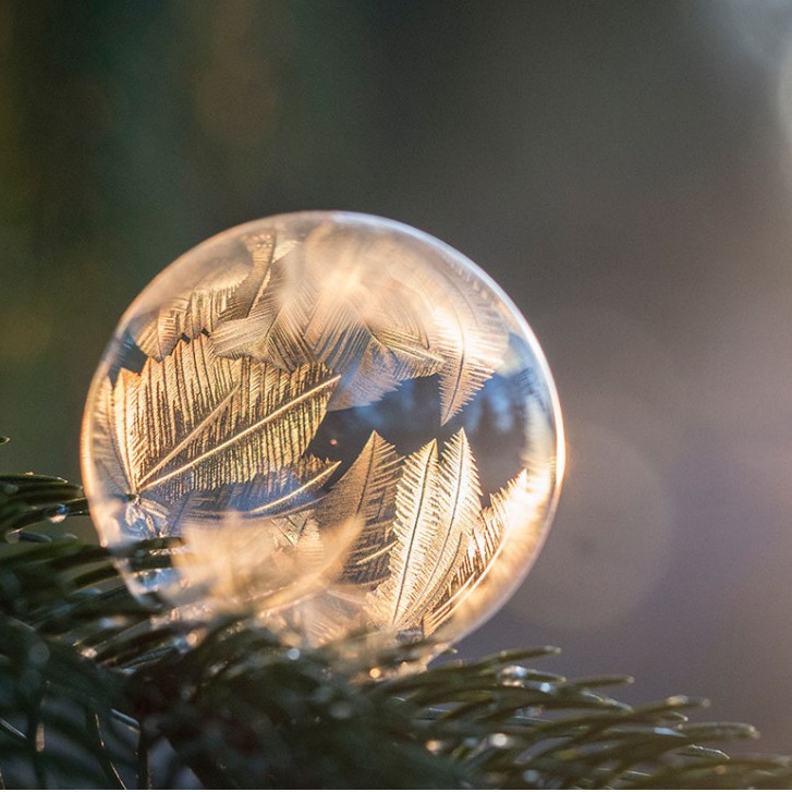 ̼����ˮ���ձ����6̼��ˮ��TG-5871ŷ��������׼C6��ˮ��