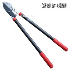 ������1145��֦�� ����ʿ���� ֱ����֦�� �@ˇ�� SK5�����