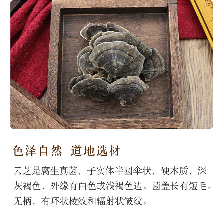Dried Yun Zhi Coriolus Mushroom 500g Natural Sun Dried Herbal Fungus for Decoction and Tea specifications