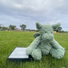 ����ë���GɫС�w��ë�q������˹�����ż�Y�����