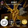 定制低压太阳能露营树灯
