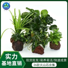 ��ɽʯ����ˮ�������������B���~���쾰��ˮֲ���b�ˮ�������l