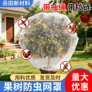 �羳������x���B�W�ִ���朗�÷ɏ�F�̨�����r�÷���ω����͸��