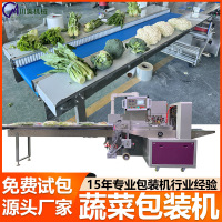 蔬菜包装机 超市水果黄瓜自动套袋枕式机生鲜娃娃菜包装机全自动