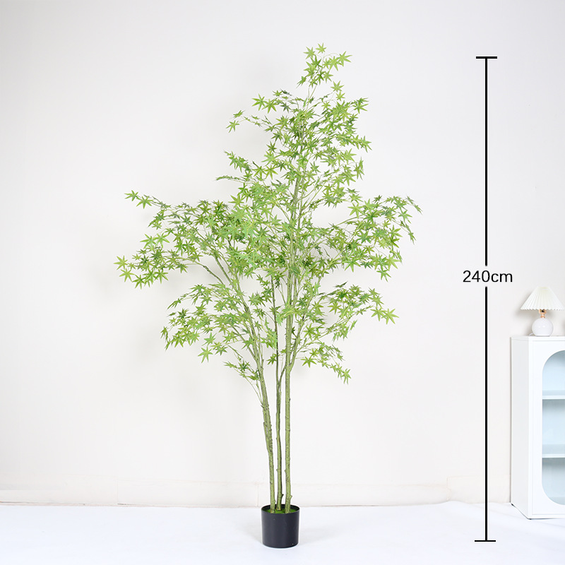 Mini planta en maceta de hoja de arce verde encriptada 240cm (con maceta negra)