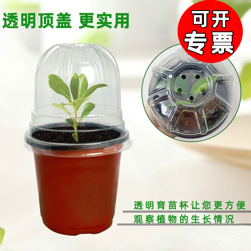 Two-Color Seedling Flower Pot Plastic Thickeneded Succulent Seedling Pot 10cm Diameter Large Base Seedling Small Flower Pot Wholesale