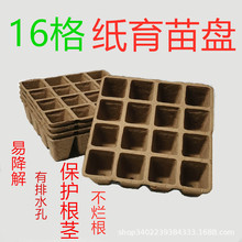 ƷRdһԿɽ籭{P16 {籭