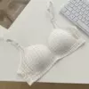 [香槟色（原版）]