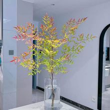 ˮr֦҃ȾGֲļ˺B ͺֲRľƽGֲ