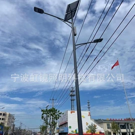 庭院灯;道路照明灯;景观灯