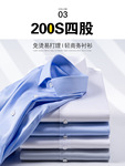 200支四股纯棉衬衫男长袖DP4.0免烫新款商务男装职业正装白衬衣