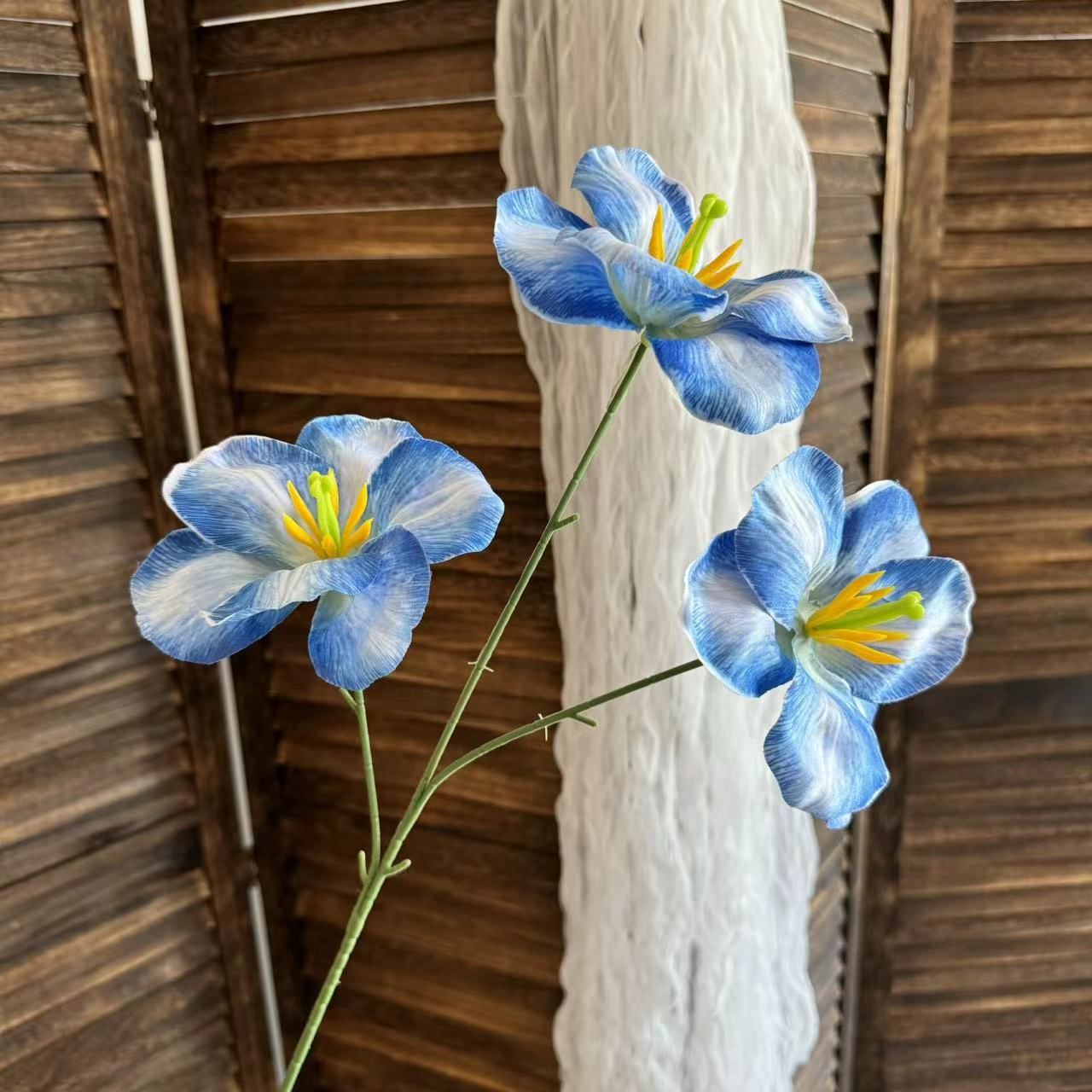 다크 블루