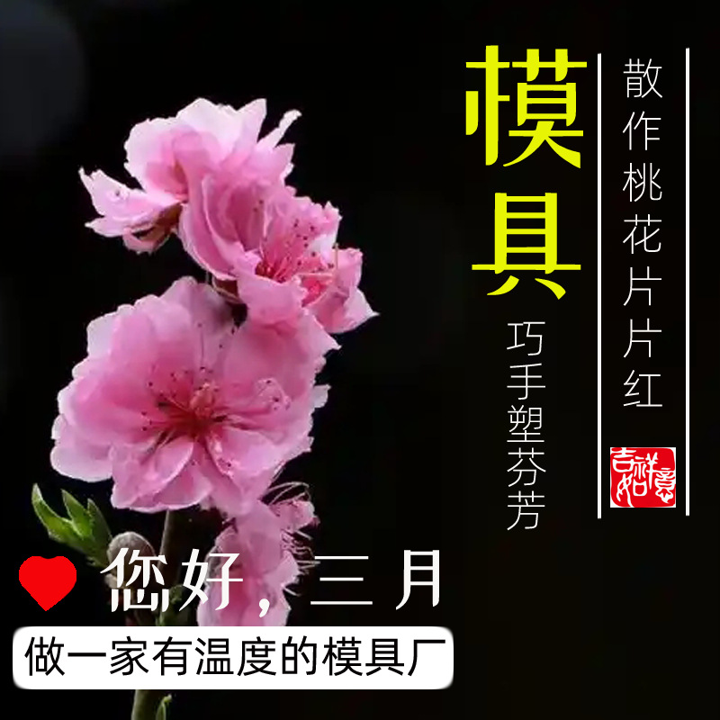 【江浙沪】双色塑料模具 多腔塑胶模具 高光透明件定制开模注塑厂