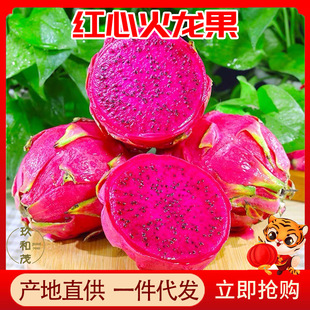 ���ڼt�Ļ�����5�����䑪�����rˮ��10���l���]3�t�⺣�Ͻ�һ̖