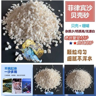 �����eɰؐ��ɰ��Ȼ�~�׵�ɰ�쾰�b����ľ�зɳɺ��ɰ�S��ֱ��