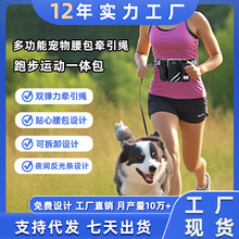 新款户外宠物训练多功能夜间反光跑步运动遛狗带水壶牵引绳腰包
