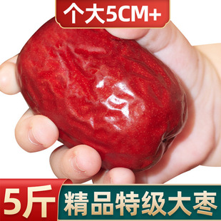 �t��5��������^����؛��ꄱ������坾23���t����ʳ�S��