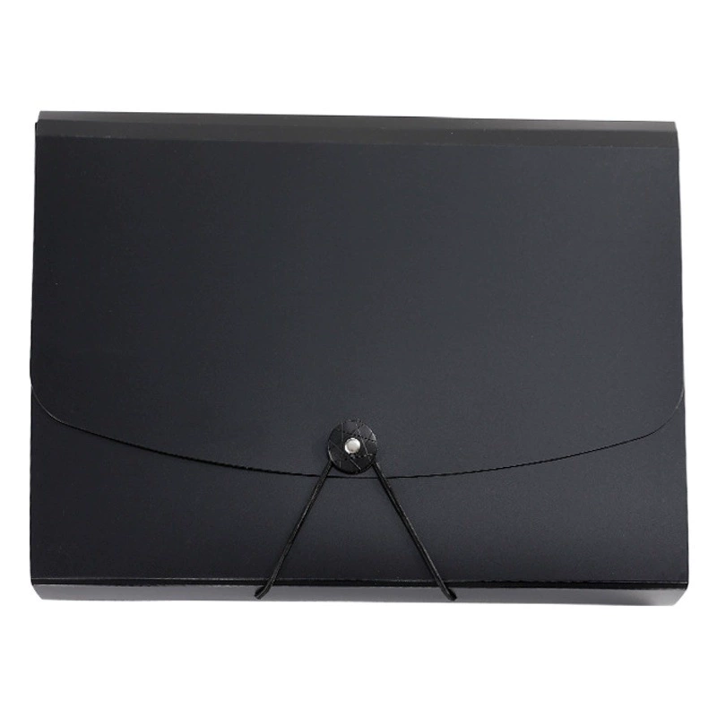 Сумка для Органа формата А4, книга для хранения тестовой бумаги большой емкости, 13 сетчатая многослойная папка, многофункциональный набор информации о файлах, счет