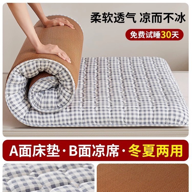 地铺睡垫家用床垫软垫防潮地垫打地铺神器租房专用垫学生宿舍单人|undefined