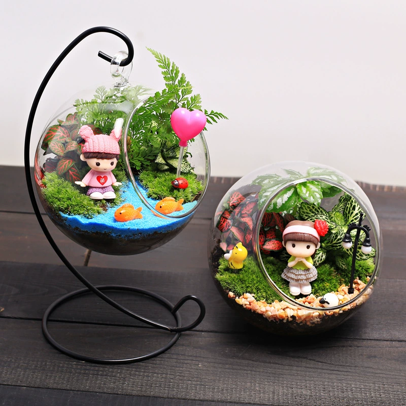 12 см микропейзаж креативное зеленое растение мини в горшке DIY Материал пакет подарок мох стеклянная подвесная бутылка