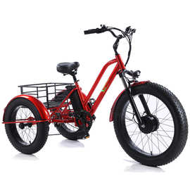 厂家直销菜蓝雪地三轮 锂电跨境外贸 脚踏前驱动助力自行车