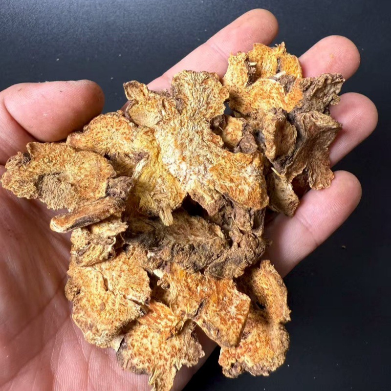 Dried Cang Zhu Atractylodes Rhizome 500g Hebei Wild Harvested Traditional Herbal Decoction Pieces quality and texture