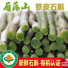 新鲜铁皮石斛鲜条500g乐清雁荡山四年生枫斗石斛浙江安徽中药材干
