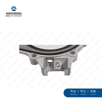 Seal, Oil seal