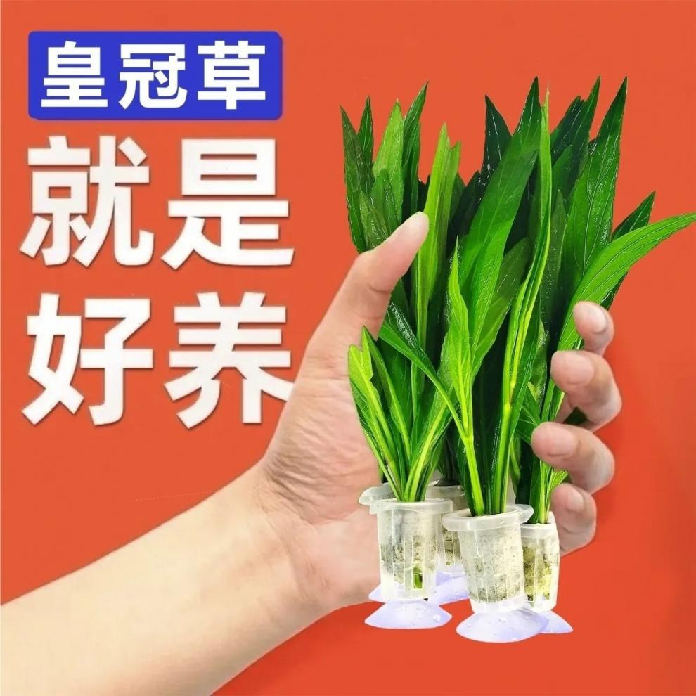 3c9a3f77-5778-4762-8086-2fe72c584fbf.jpe