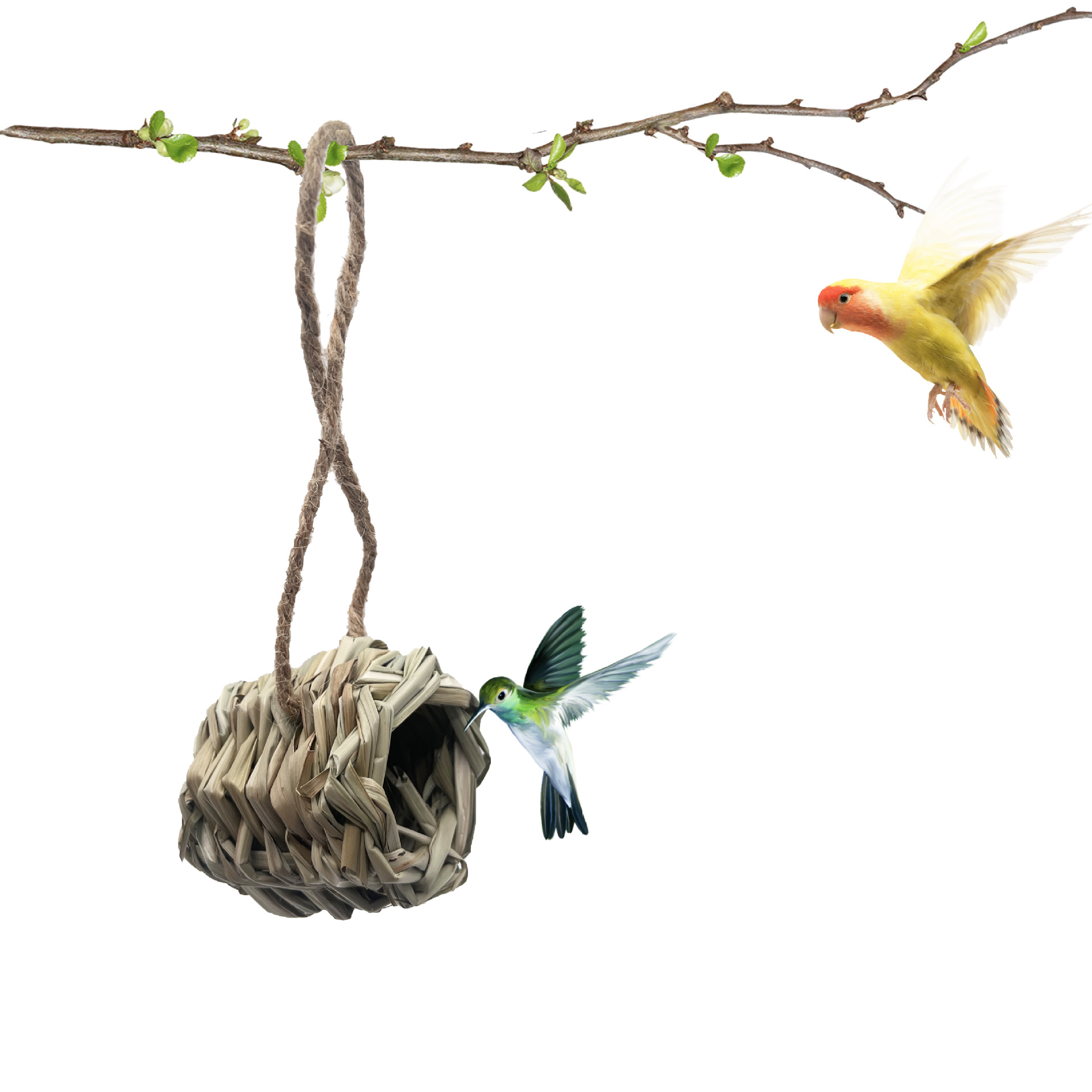 Nuevo nido de colibrí transfronterizo nido de pájaro tejido a mano jardín al aire libre decoración de patio nido de pájaro se puede colgar nido de pájaro