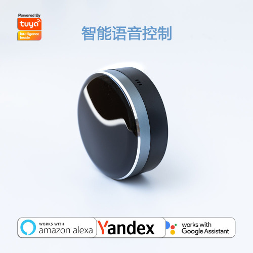 Doodle Smart Dual-WiF Infrared + RF433 + 315MHz Voice Remote Control