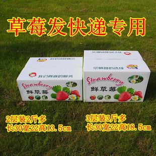 ��ݮ���b�аl���f���b�伈��ˤ��Ӻ�5������ 2��3���b�F؛